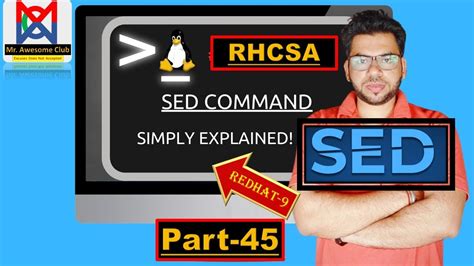 Sed Command Explained: Essential Text Manipulation for Shell Scripting ...