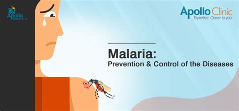 Malaria: Prevention & Control of the Diseases - Apollo Clinic Blog