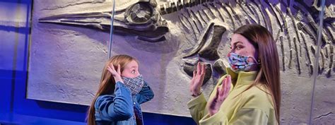 Dinosphere® | The Children's Museum of Indianapolis