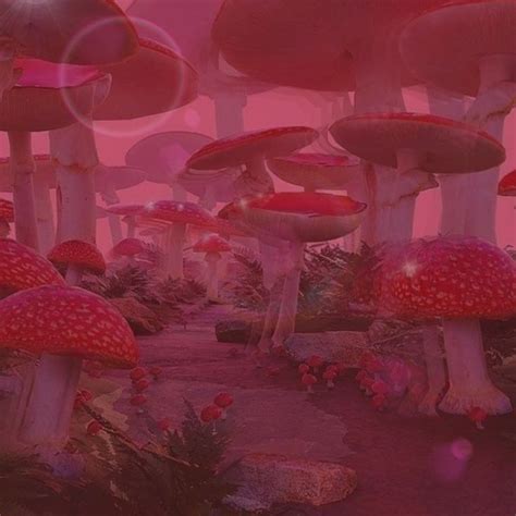 🍄🍄🍄 in 2021 | Aesthetic mushroom, Mushroom aesthetic, Mushroom ...