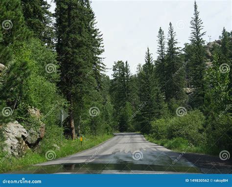 Scenic Drive at Needles Highway, South Dakota Stock Photo - Image of high, mountains: 149830562