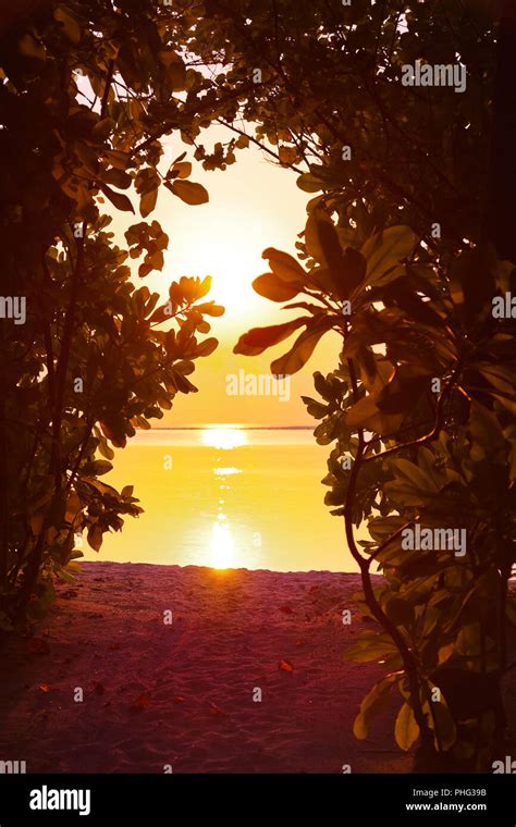 Sunset in Maldives beach Stock Photo - Alamy