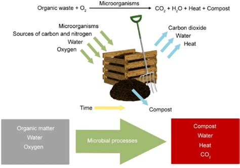 Aerobic composting principles [79] | Download Scientific Diagram