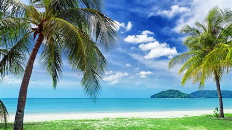 The Best Beach Zoom Background For When You're Dreaming Of A Tropical ...