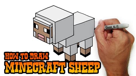 Minecraft Sheep Drawing