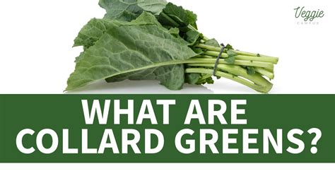 Collard Greens Meaning - ReumVegetable