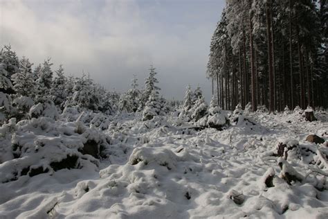 Winter im Harz... Foto & Bild | harz, wald, winter Bilder auf fotocommunity