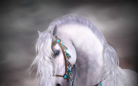 Wallpaper Download Hd Full Hd White Horse Wallpaper / Blue moving background » hd longest ...