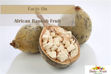 Facts On African Baobab Fruit - dailyonefruit