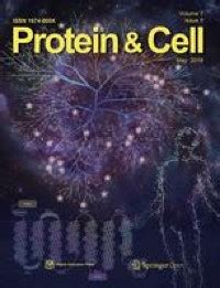 Targeting cancer stem cells by using chimeric antigen receptor-modified T cells: a potential and ...