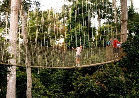 Kakum National Park - touringghana.com