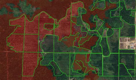 EUDR Study: Poor EU Deforestation Maps Put €133 Bn Worth