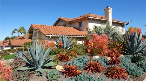 Xeriscaping saves water, adds beauty - AgriLife Today