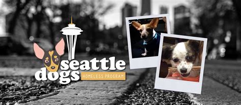 Seattle Dogs Homeless Program - Home