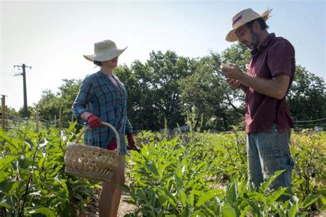 French farm aims to grow new crop of farmers