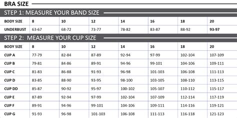 Everything You Need To Know About Bra Size Calculators