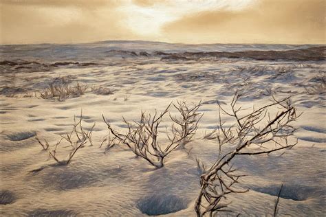 Desolate Landscape Photograph by Maria Coulson