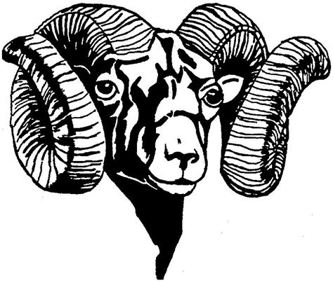 Ram Head Pictures - ClipArt Best