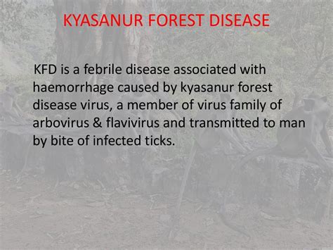 Kyasanur forest disease PPT