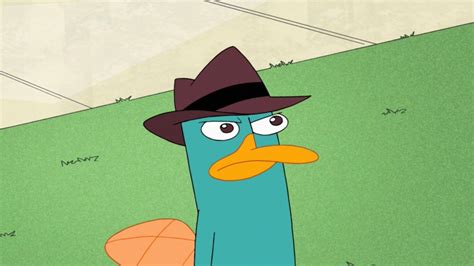 Perry The Platypus Wallpapers - Wallpaper Cave