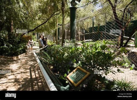 Seigfried & Roy's Secret Garden, a small zoo at The Mirage, an MGM Stock Photo, Royalty Free ...