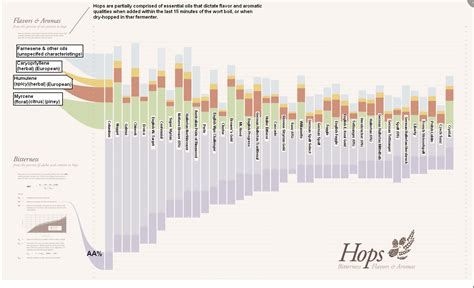 Hop Comparison Poster | BEER / FOOD PARINGS | Pinterest | Homebrew recipes, Beer food and ...