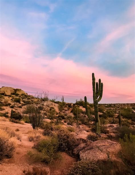 Desert Cactus Sunset Saguaro Scottsdale Tucson Arizona Photography ...