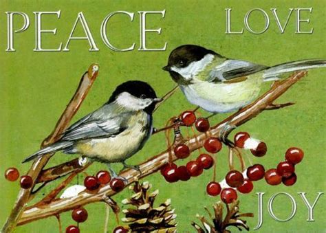 Birds-Chickadee Christmas Card (24 pieces) in 2021 | Christmas cards ...