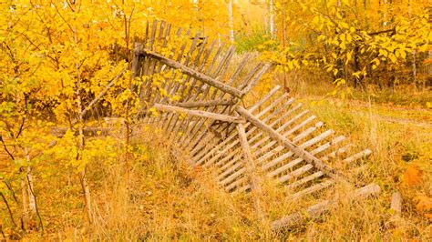 Wooden Fence In Autumn Free Stock Photo - Public Domain Pictures