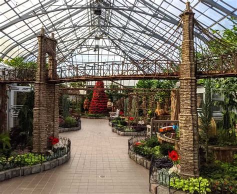 It's a Zinzinnati Holiday at the Krohn Conservatory · 365 CINCINNATI