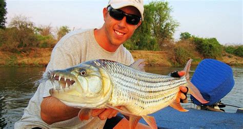 Zambezi River | Victoria falls, Fall fishing, Zambezi river