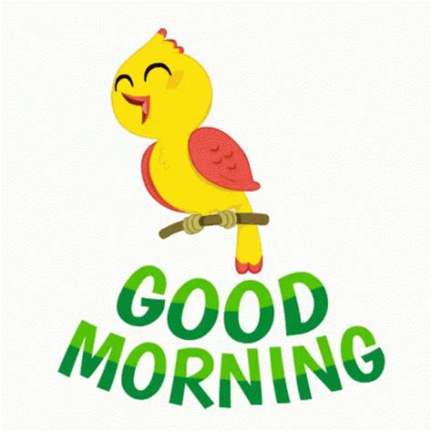 Good Morning Birdie Cute GIF - GoodMorningBirdie Bird Cute - Discover & Share GIFs