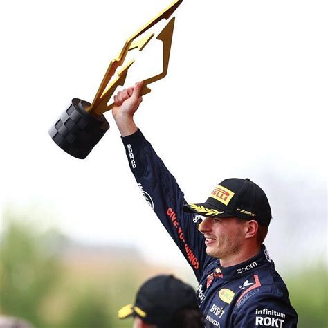 Watch: Max Verstappen running over a bird in his Red Bull during the ...