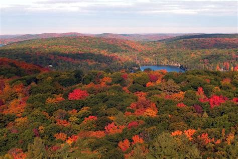 Fall Colors at Algonquin Park and Oxtongue Lake