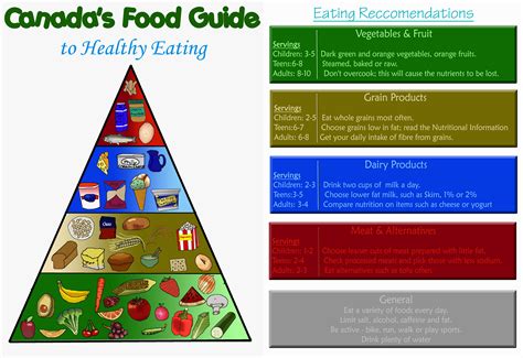 Canada's Food Guide by AleriaCarventus on DeviantArt