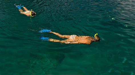 Snorkeling near Sugar Beach and the Pitons in St Lucia