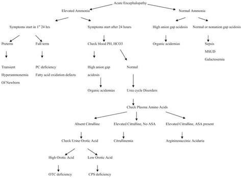 Acute Metabolic Encephalopathy | Obgyn Key