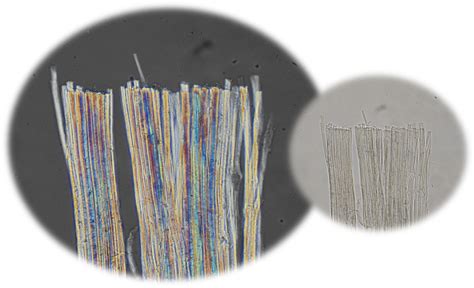 Fiber Microscopy 4