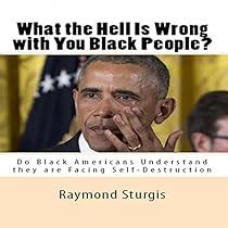 What the Hell Is Wrong with You Black People? Audiobook | Raymond Sturgis | Audible.com