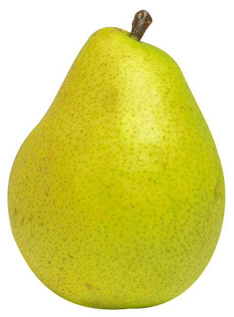 Pear Fruit PNG Clipart - Best WEB Clipart