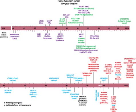 Timeline of gene fusion discoveries. A timeline representation of... | Download Scientific Diagram