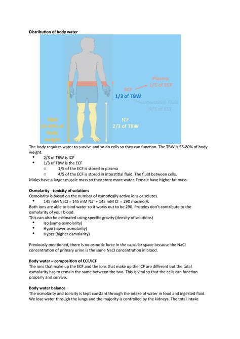 Lecture 33 - Body Water Homeostasis - Distribution of body water The ...