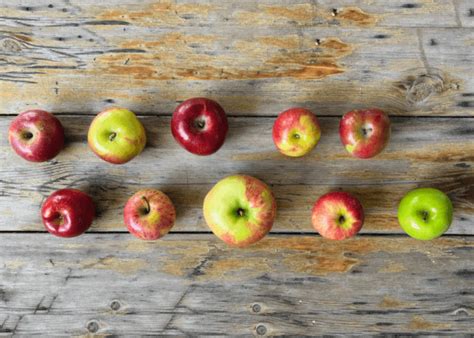 15+ best apples for cider 🍎 🥂 Discover the top varieties for a ...