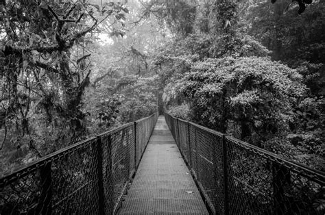 The Cloud Forest of Monteverde, Costa Rica - Adventurous Kate