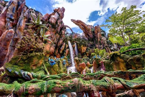 The Best Animal Kingdom Pictures - WDW Magazine