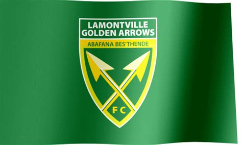 Lamontville Golden Arrows FC Fan Flag (GIF) - All Waving Flags