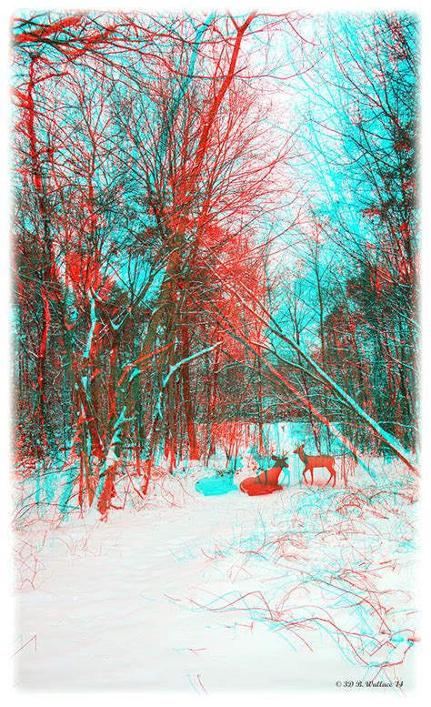 Wooded Path - Use Red and Cyan filtered 3D glasses Painting by Brian ...