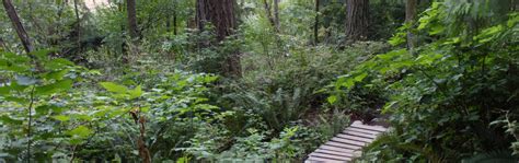 Burnaby Mountain Hiking and Biking Trails | Vancouver Trails