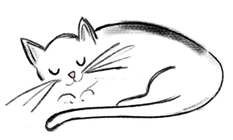 Cat Lying Down Drawing