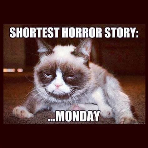 Grumpy cat monday Memes